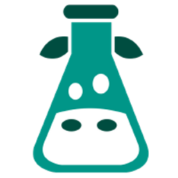 I18n Icon
